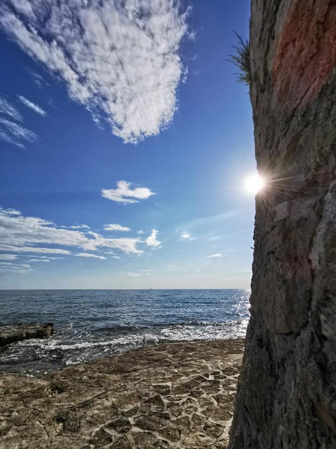 Lara Deluxe Superior 5 Star Apartment, Your Piece Of Heaven By The Sea & Park Novigrad Istria 외부 사진